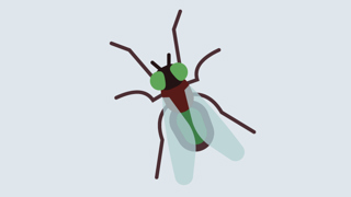 Fluen Faktaark 800X450px