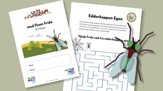 2 Spændende Opgaver 800X450px