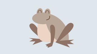 Froen Faktaark 800X450px