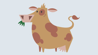 Koen Faktaark 800X450px