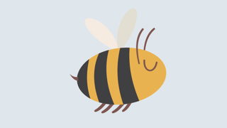 Bien Faktaark 800X450px