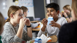 SKOLEMAELK BAKKESKOLEN 028