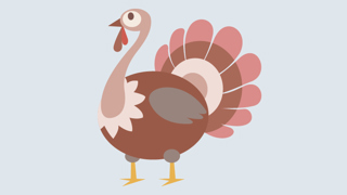 Kalkunen Faktaark 800X450px