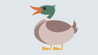 Anden Faktaark 800X450px