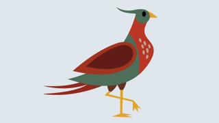 Fasanen Faktaark 800X450px