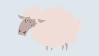 Faaret Faktaark 800X450px