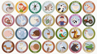 5 Stickers 800X450px